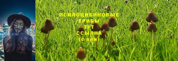 экстази Алексеевка