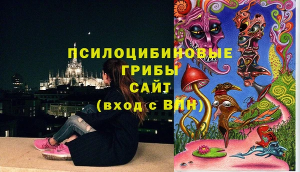 2c-b Алексин