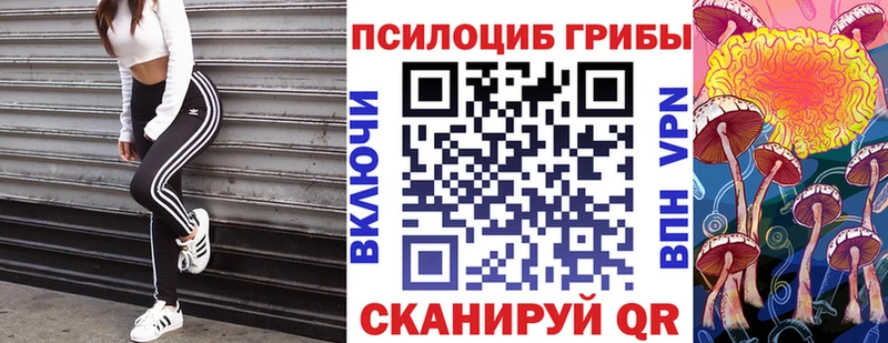 Галлюциногенные грибы ЛСД  hydra зеркало  Апатиты 